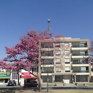 Apartamento Estudio
